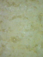 d0151154_23324538.jpg