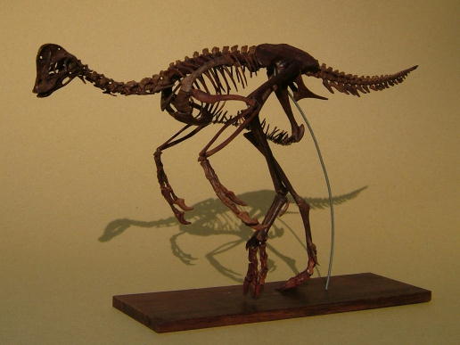 e0064457_2059169.jpg