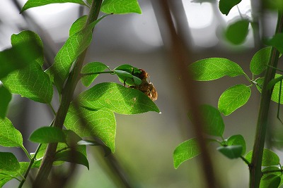 f0164058_21592497.jpg