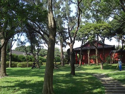 f0142862_207050.jpg