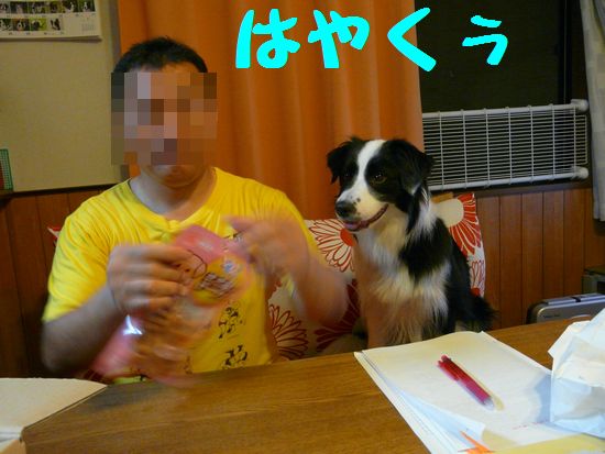 a0100564_16342819.jpg