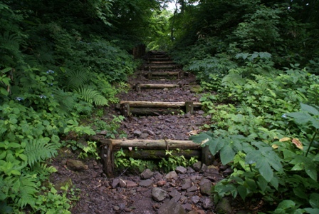 a0091666_2222983.jpg