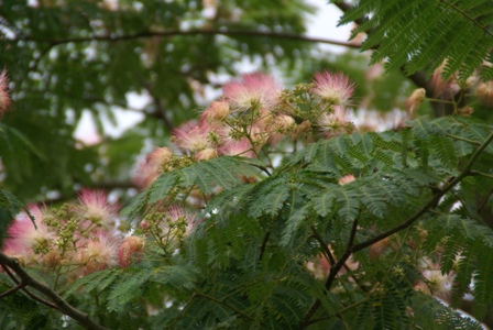 a0091666_22342578.jpg