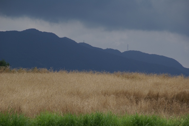 a0091666_2240393.jpg