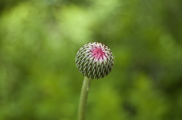 c0052470_10245683.jpg