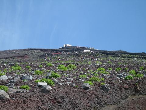 a0081772_8535524.jpg