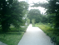 b0013376_944919.jpg