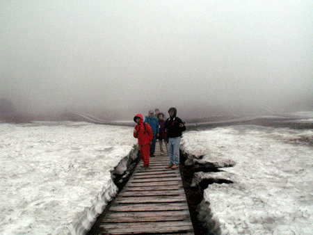 d0126577_2295559.gif