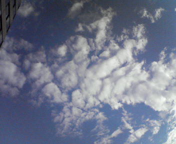 d0056881_225148.jpg
