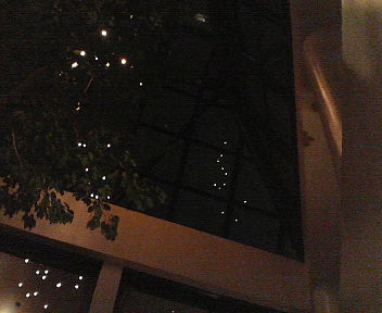d0056881_233736.jpg