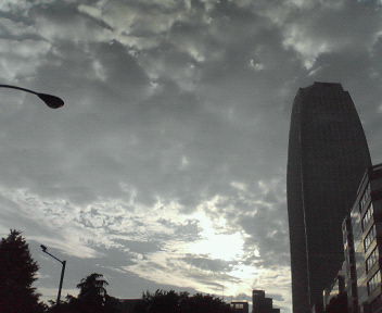 d0056881_23651.jpg