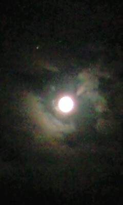 f0149982_21225620.jpg