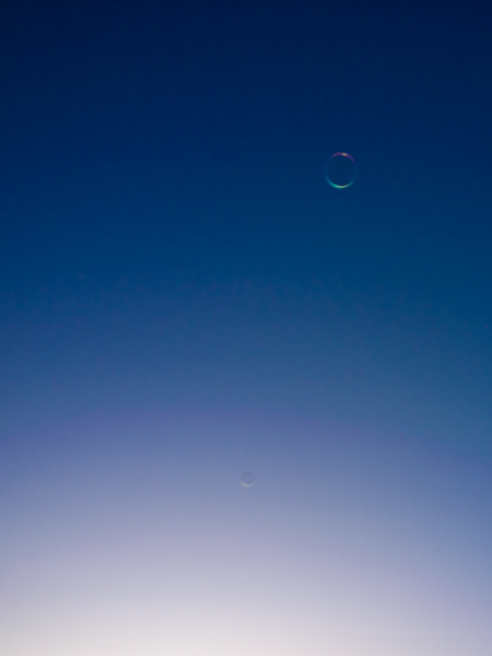 a0053783_623219.jpg