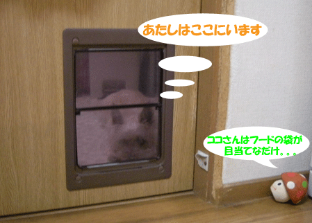 e0066883_2201330.gif