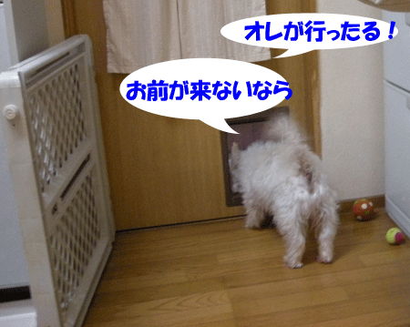 e0066883_22122138.gif