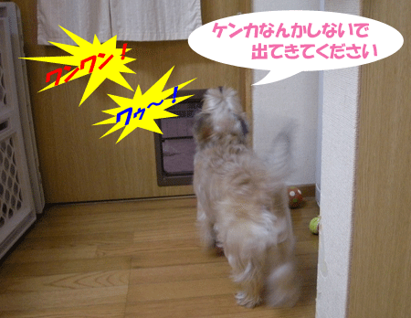 e0066883_221506.gif