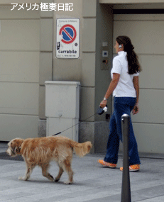 f0032683_7183577.gif