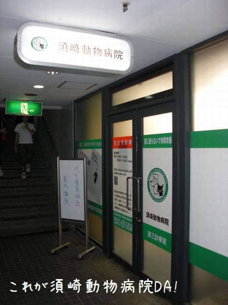 b0000885_1916873.jpg