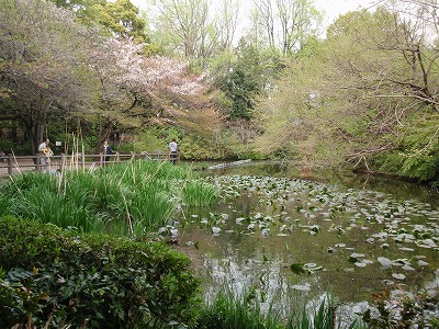 c0105785_8414971.jpg