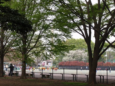 c0105785_918947.jpg