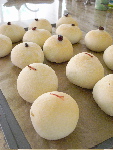 c0130986_1140258.jpg
