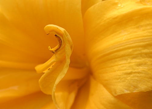 d0034988_1049396.jpg