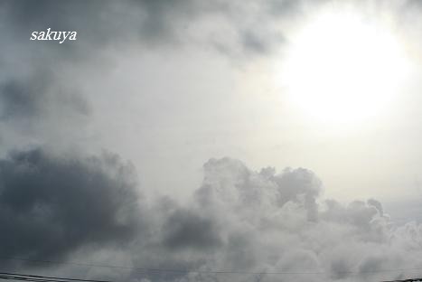 e0122194_2115628.jpg