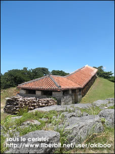 d0050995_22184874.jpg