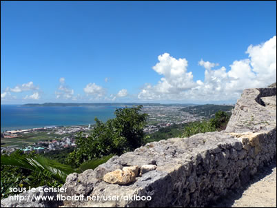 d0050995_2283074.jpg