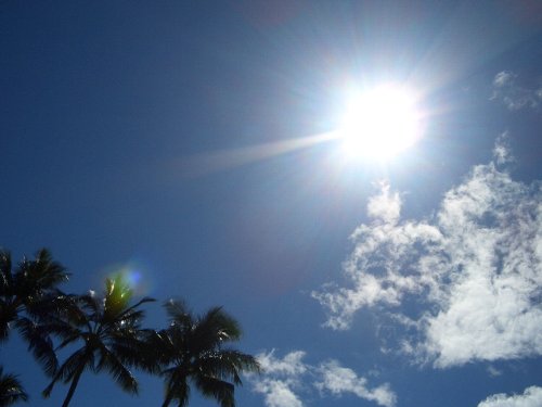 c0159896_031699.jpg