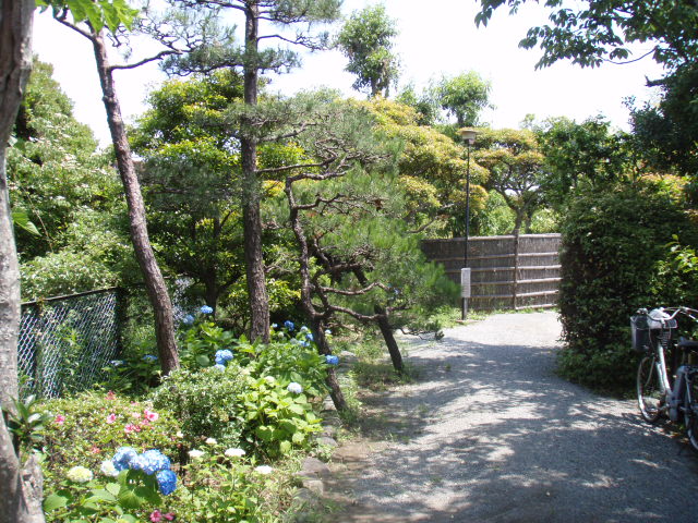 c0008598_917241.jpg