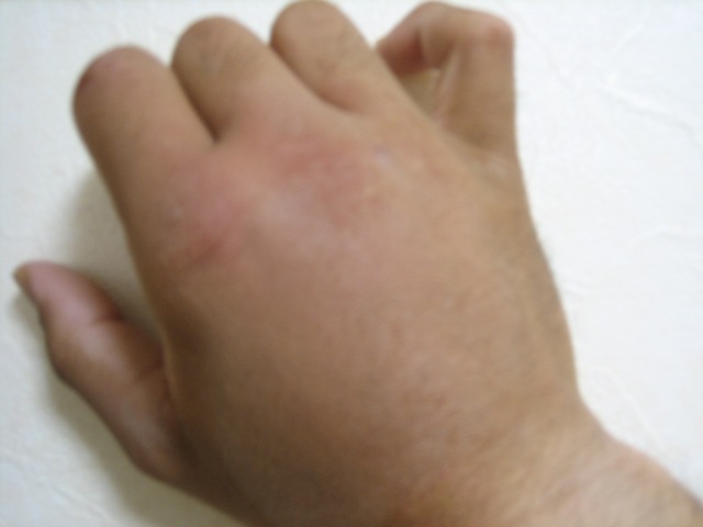 c0147398_0224164.jpg