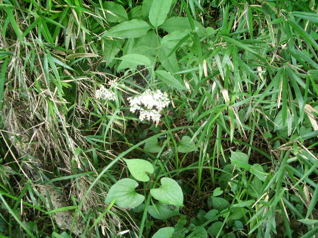 e0025300_12284542.jpg
