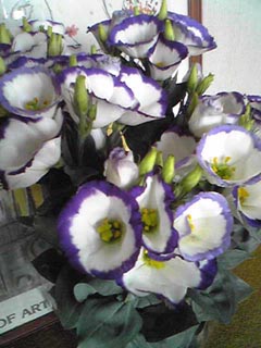 b0000302_17155370.jpg