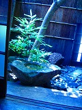 c0148705_1211746.jpg