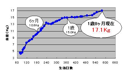 c0113109_2334537.jpg