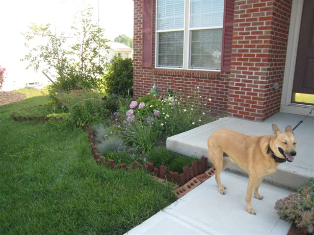 c0079011_2391248.jpg