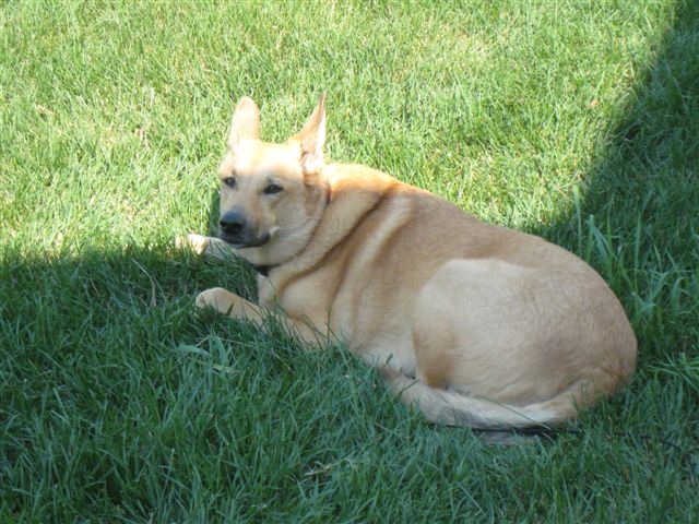 c0079011_2423897.jpg