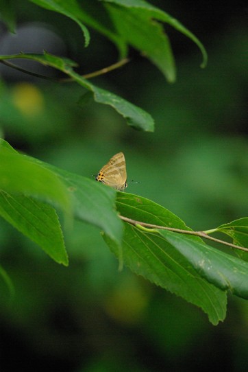 c0152317_1821872.jpg