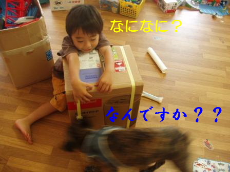 c0130324_23503959.jpg