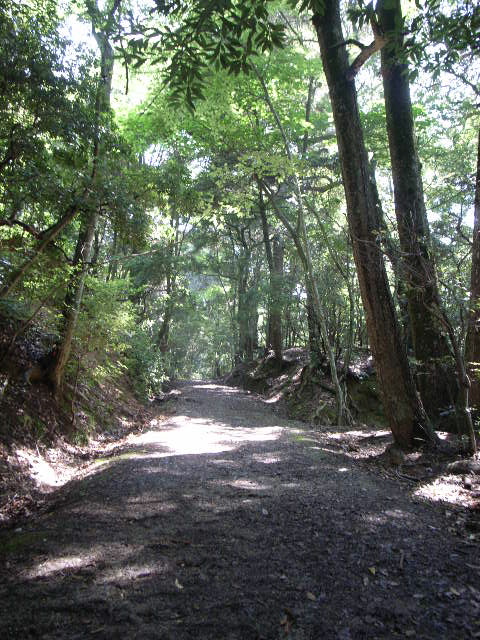 d0105133_2136173.jpg