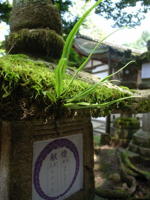 d0105133_21394449.jpg