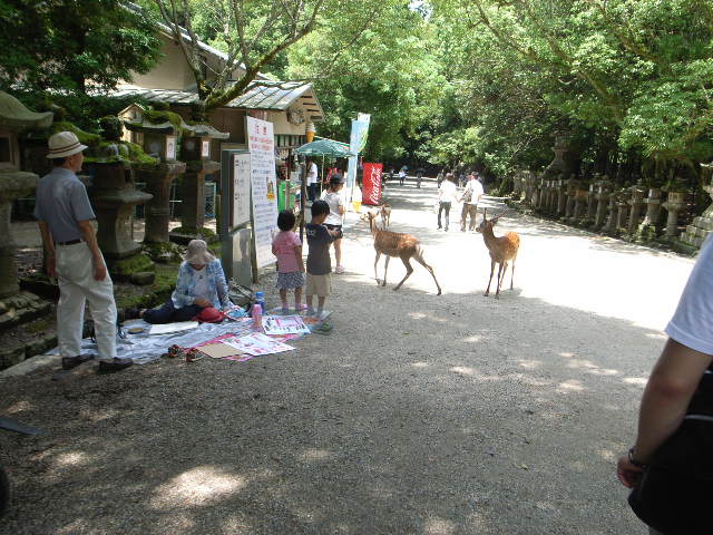 d0105133_21591328.jpg