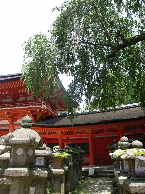 d0105133_2217492.jpg
