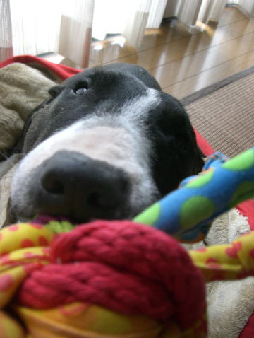 f0094843_0512162.jpg