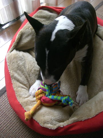 f0094843_0513776.jpg