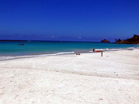 e0050753_0125654.jpg