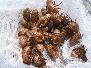 f0096955_15204958.jpg