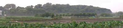 c0112172_2495572.jpg