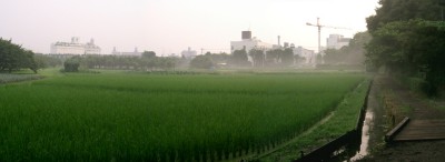 c0112172_250792.jpg